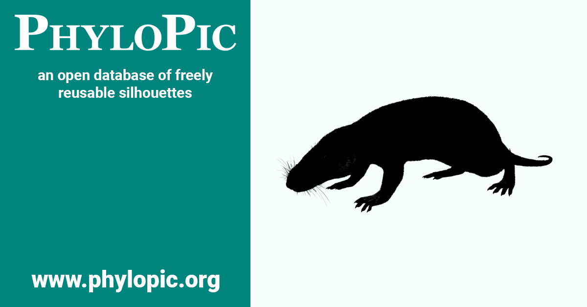 Mammaliaformes PhyloPic