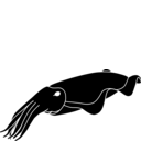 Sepiidae