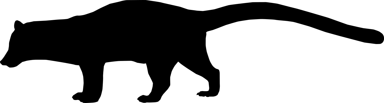 Paradoxurus jerdoni