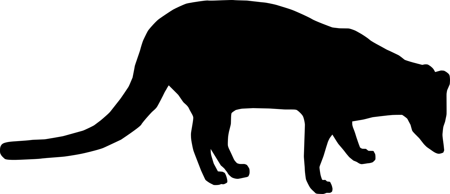 Viverra zibetha