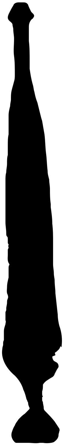Eukrohnia