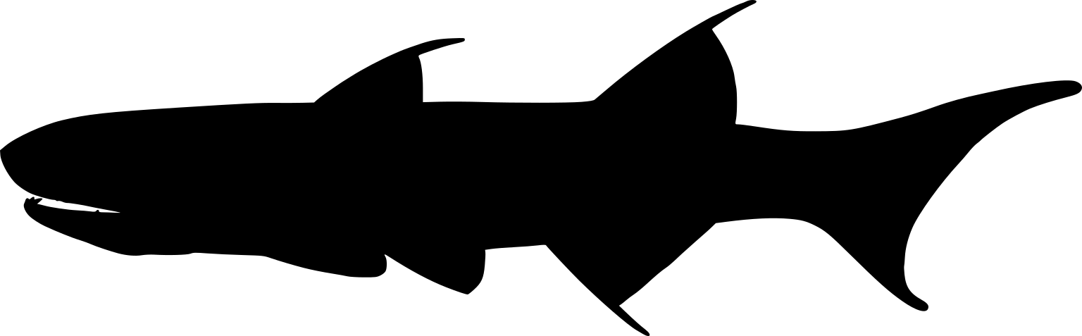 Ischnacanthus gracilis