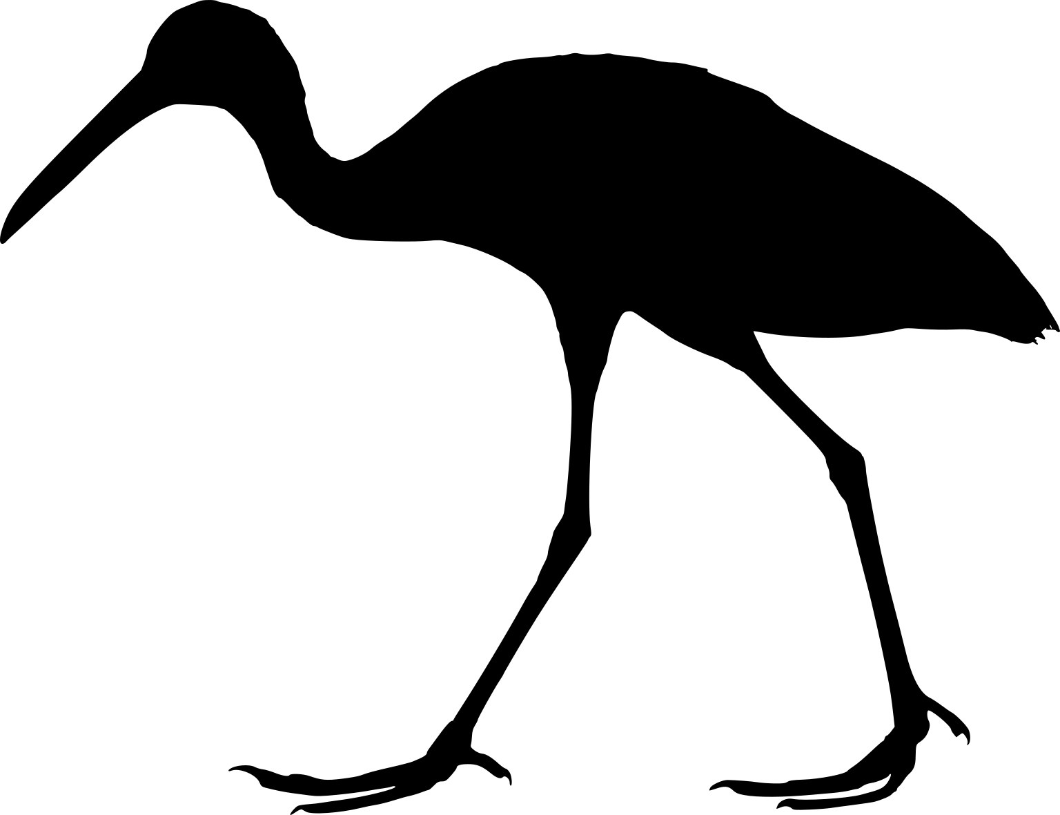 Aramus guarauna
