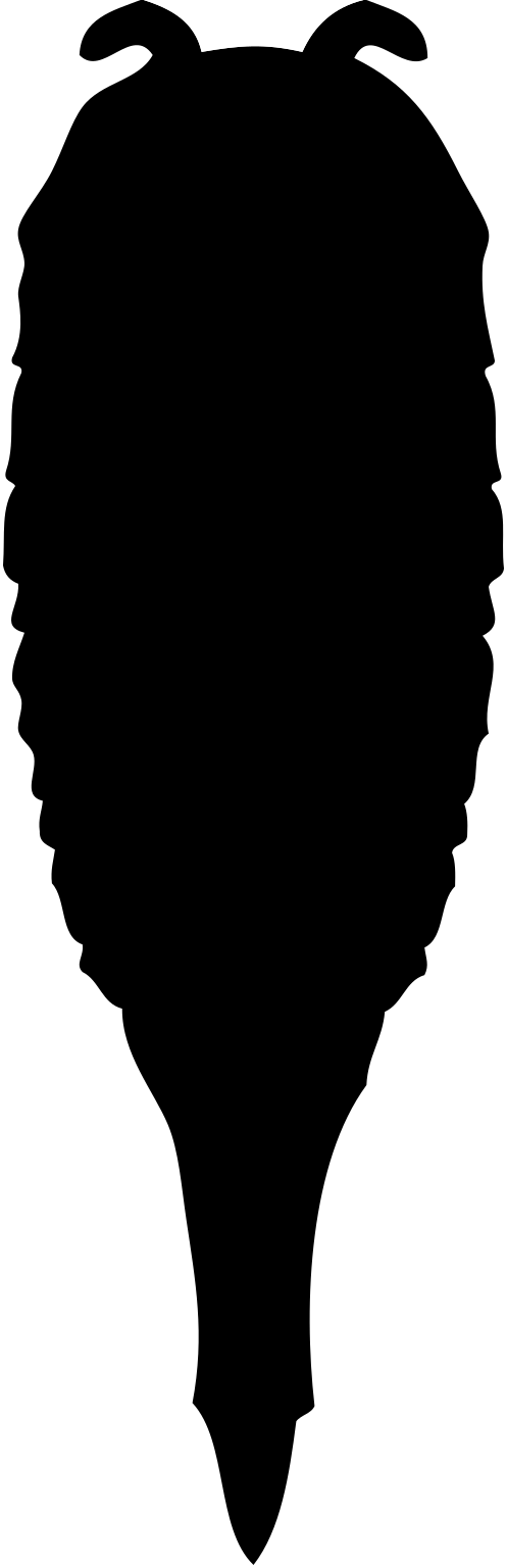 Fuxianhuia protensa