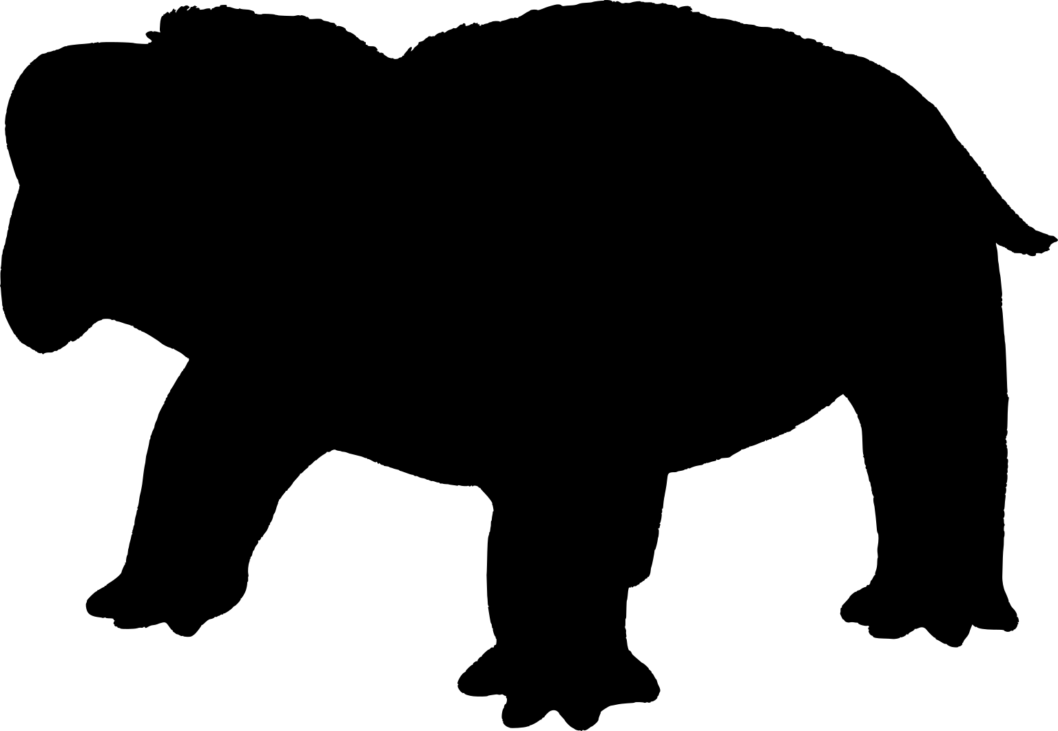 Numidotherium koholense