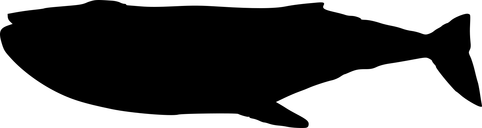 Balaenoptera novaeangliae