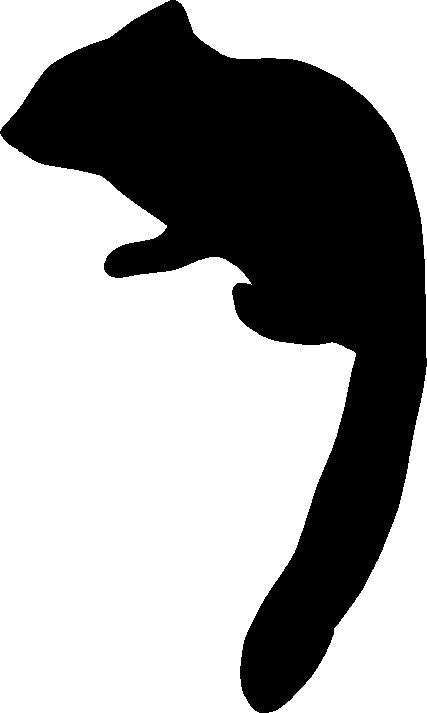 Tamiops