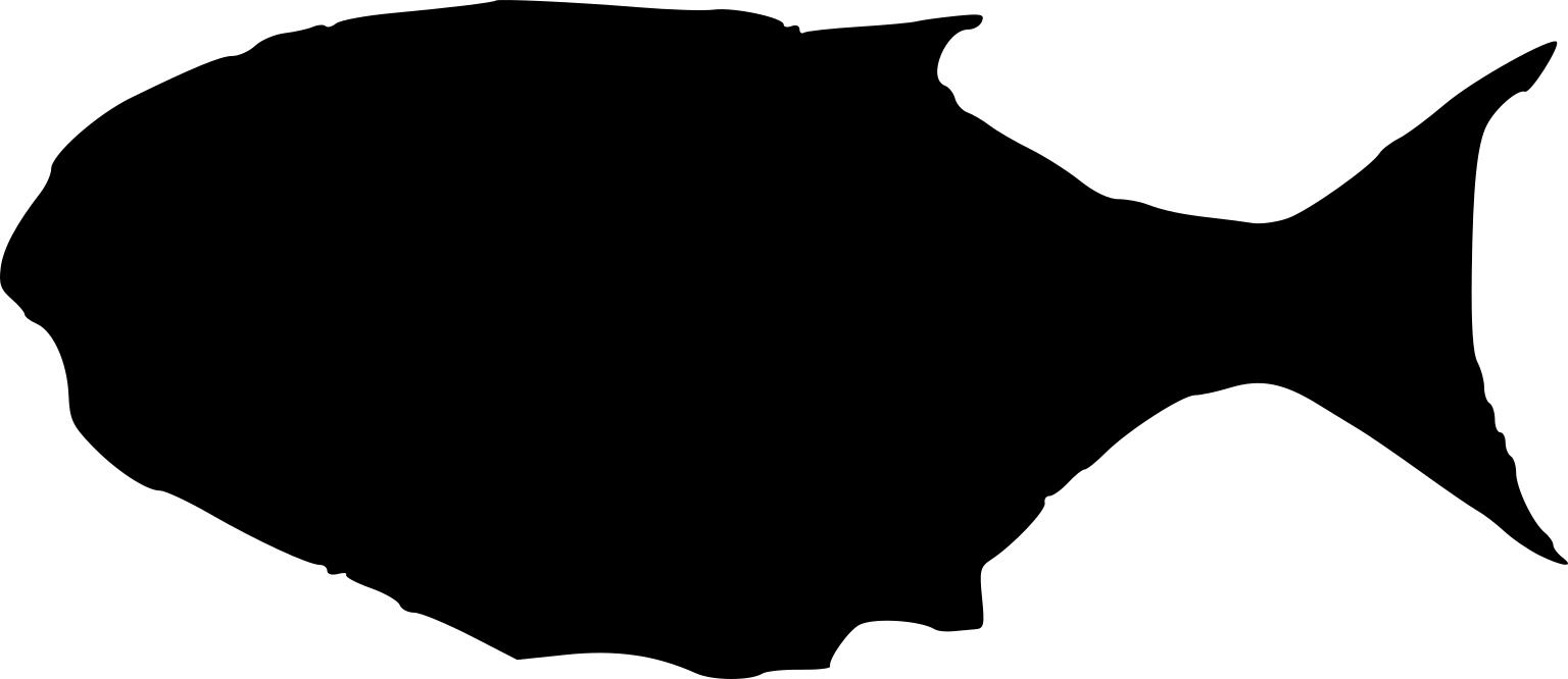 Heterostrophus latus