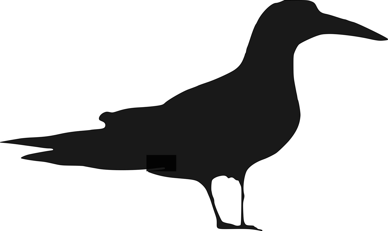 Phaetusa simplex