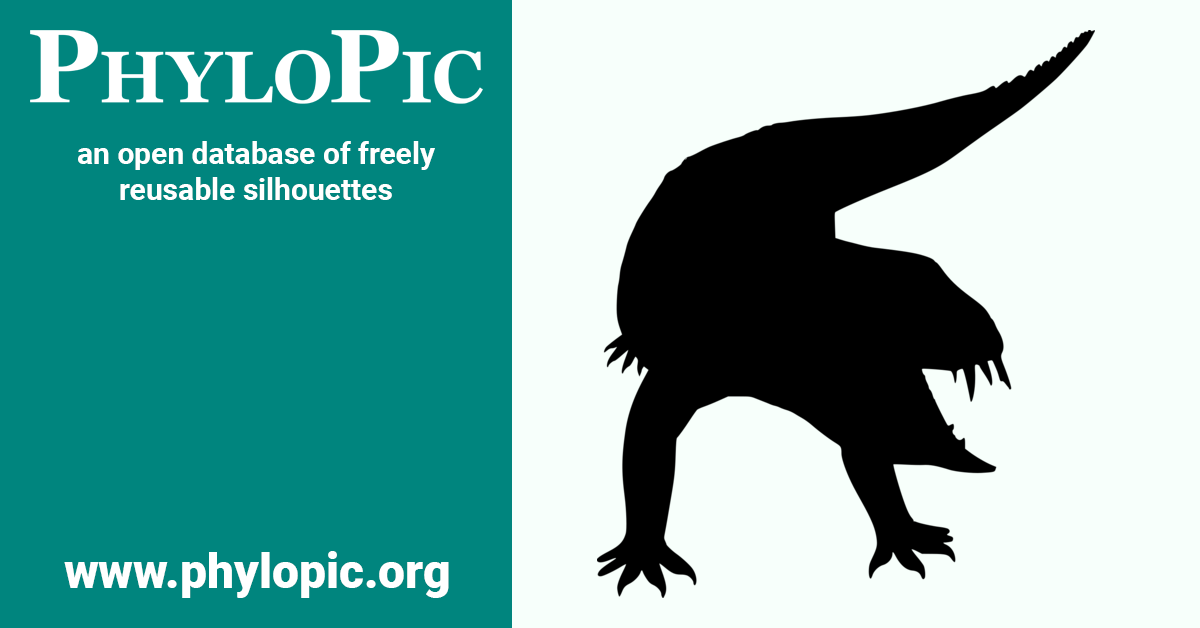 Yacarerani boliviensis by Smokeybjb, vectorized by Zimices (CC BYSA 3.