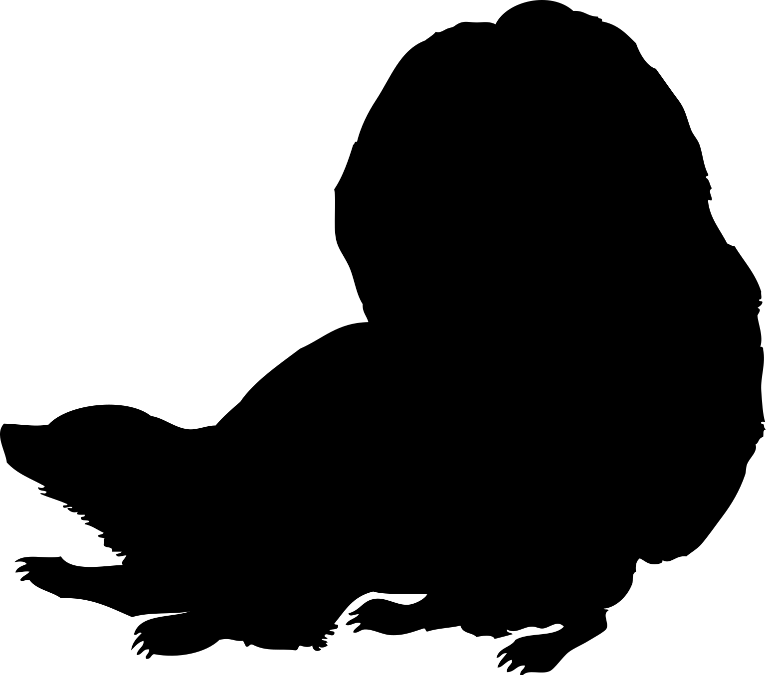 Mephitis