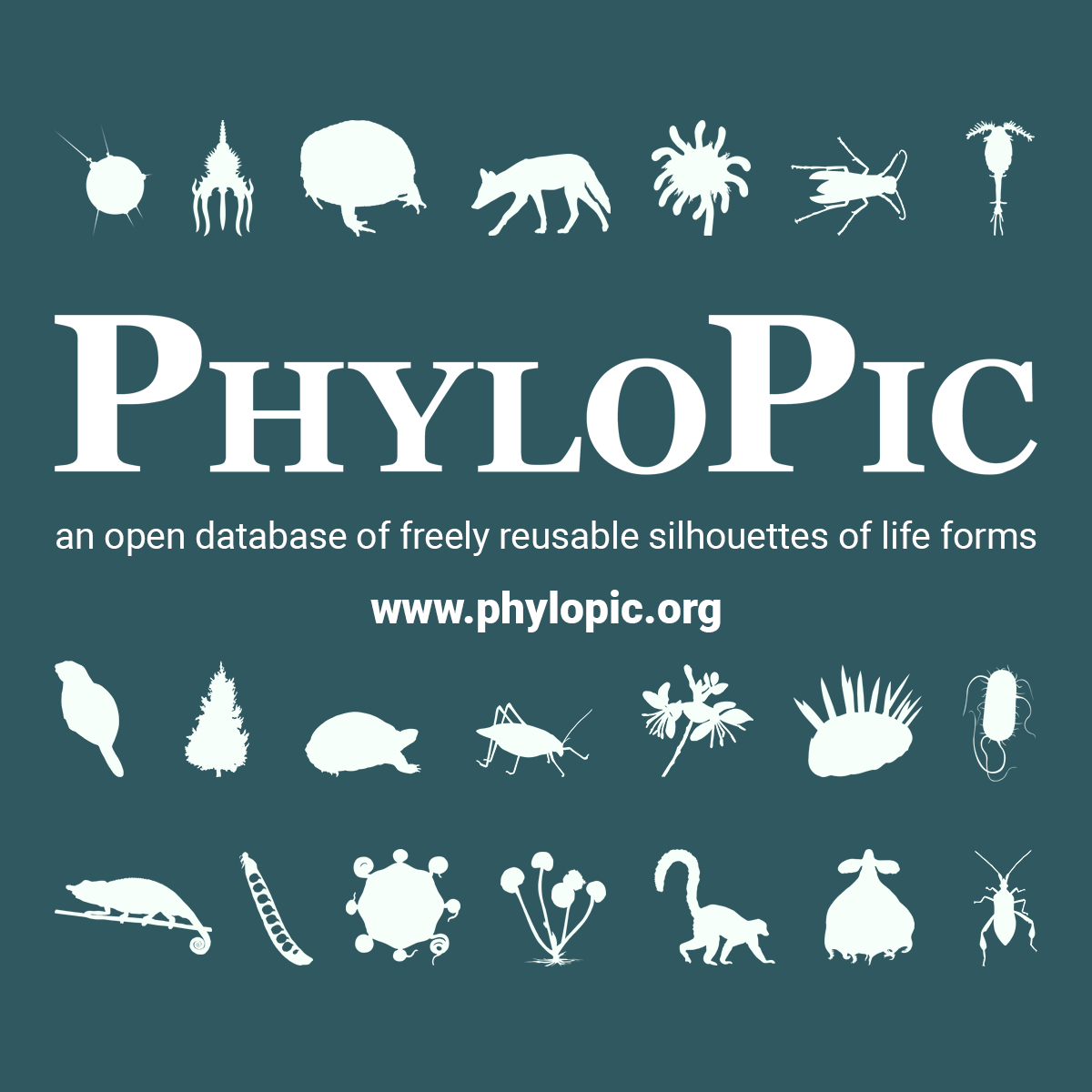 (c) Phylopic.org